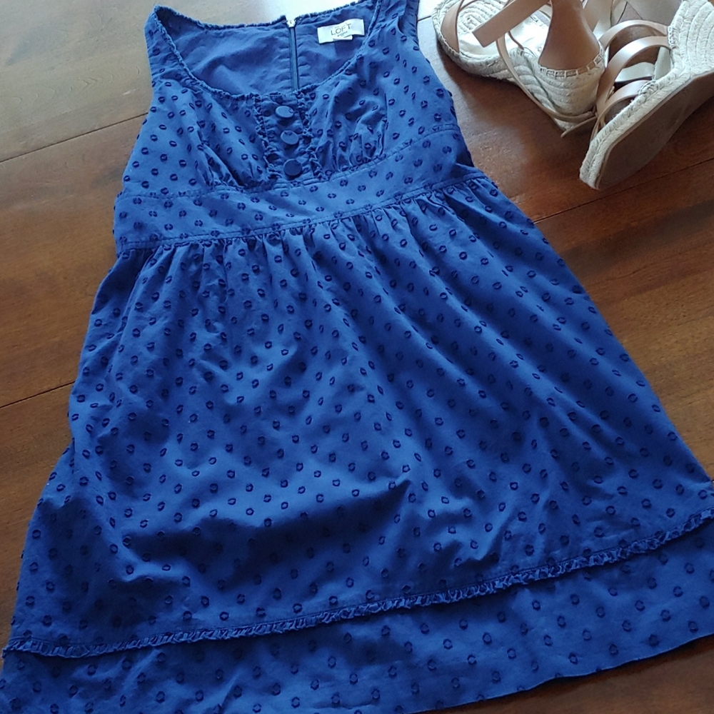 Ann Taylor LOFT petites Blue Dress Size 2P